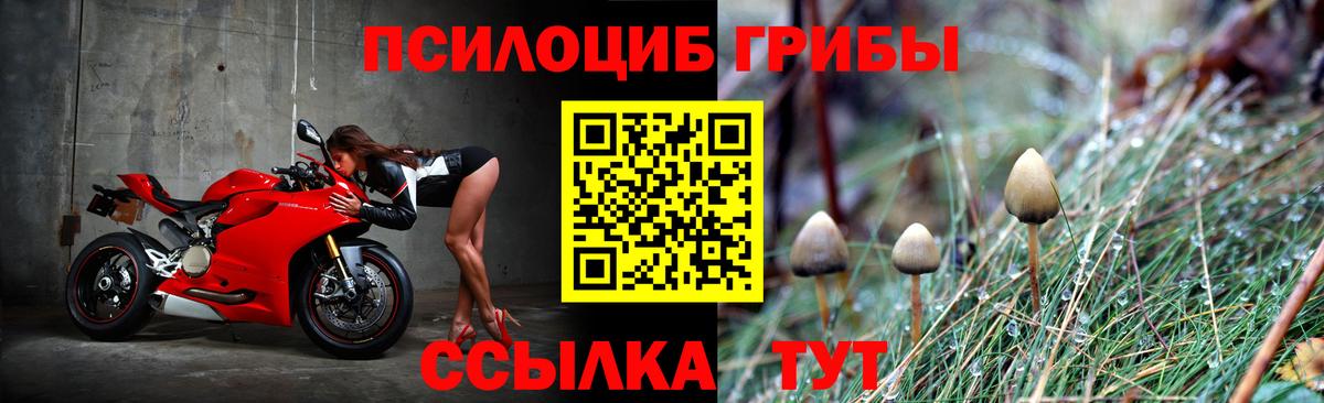 Псилоцибиновые грибы Psilocybe  Вход с VPN  Губкин  Галлюциногенные грибы MAGIC MUSHROOMS 